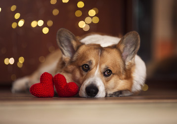 Similar image 21419276