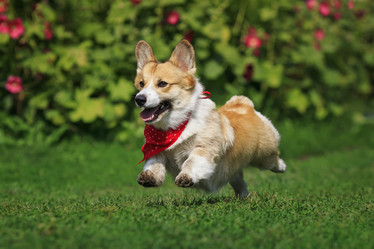 Similar image 21419160