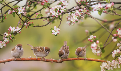 Similar image 21419162