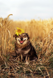 Similar image 21419164