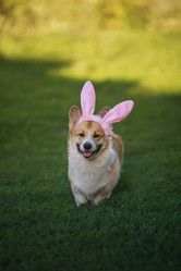 Similar image 21419165