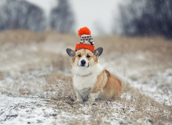 Similar image 21419167