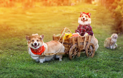 Similar image 21419168