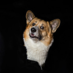 Similar image 21419169