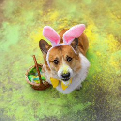 Similar image 21419171