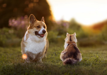 Similar image 21419176