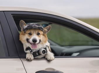 Similar image 21419178