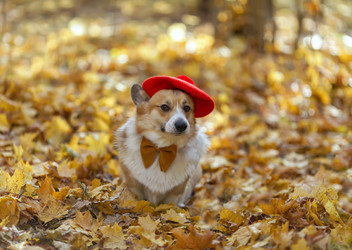 Similar image 21419179