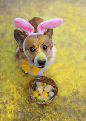 Similar image 21419181