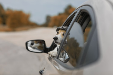 Similar image 21419182