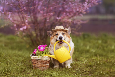 Similar image 21419185