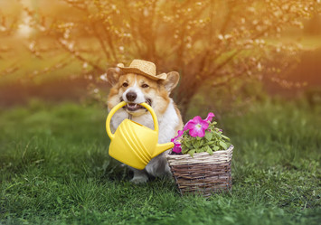 Similar image 21419187