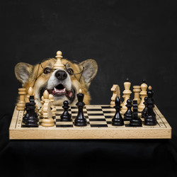 Similar image 21419189