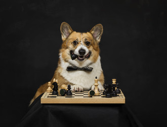 Similar image 21419190