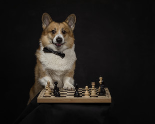 Similar image 21419192