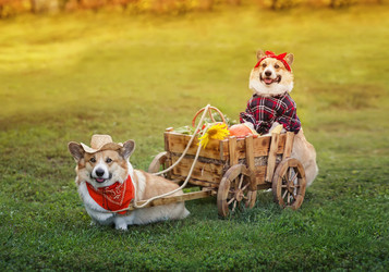 Similar image 21419195