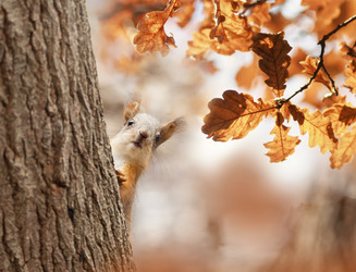 Similar image 21419197