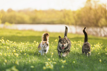 Similar image 21419198