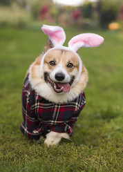 Similar image 21419203