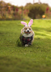 Similar image 21419204