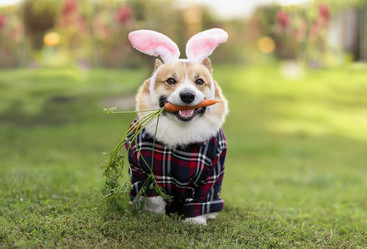 Similar image 21419280