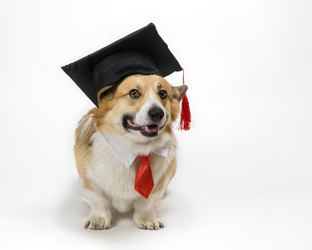 Similar image 21419282