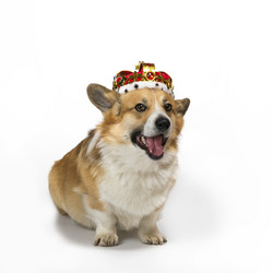 Similar image 21419284