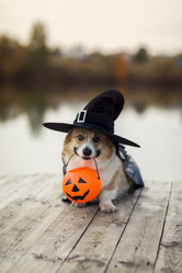 Similar image 21419287