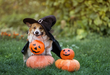 Similar image 21419289