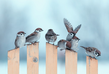 Similar image 21419292