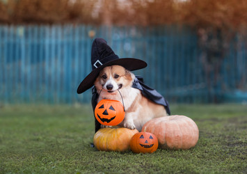 Similar image 21419294