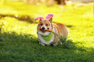 Similar image 21419296