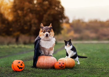 Similar image 21419297