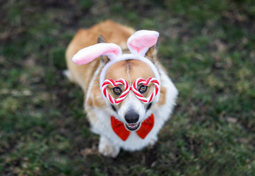 Similar image 21419299