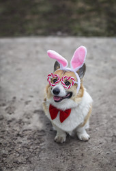 Similar image 21419300