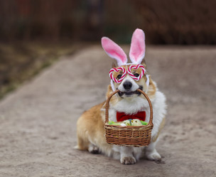 Similar image 21419301