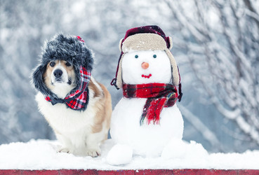 Similar image 21419302