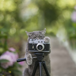 Similar image 21419205