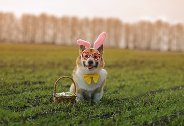 Similar image 21419210