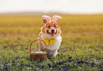 Similar image 21419211