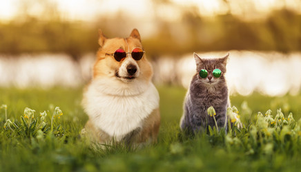 Similar image 21419212