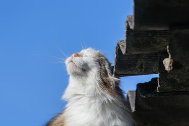 Similar image 21419214