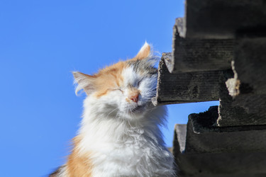 Similar image 21419215