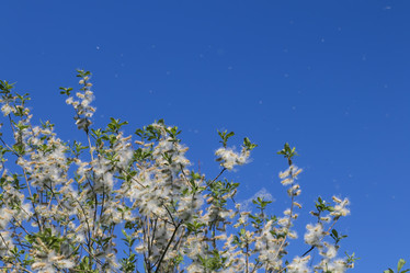 Similar image 21419216