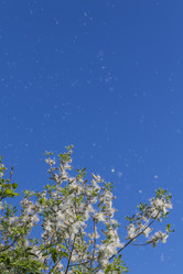 Similar image 21419217