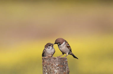 Similar image 21419218