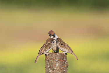 Similar image 21419219