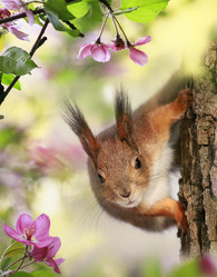 Similar image 21419223