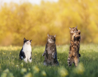 Similar image 21419305