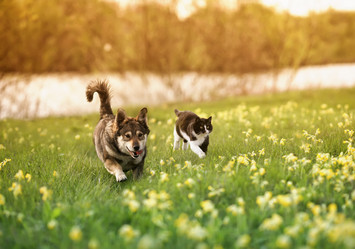 Similar image 21419311